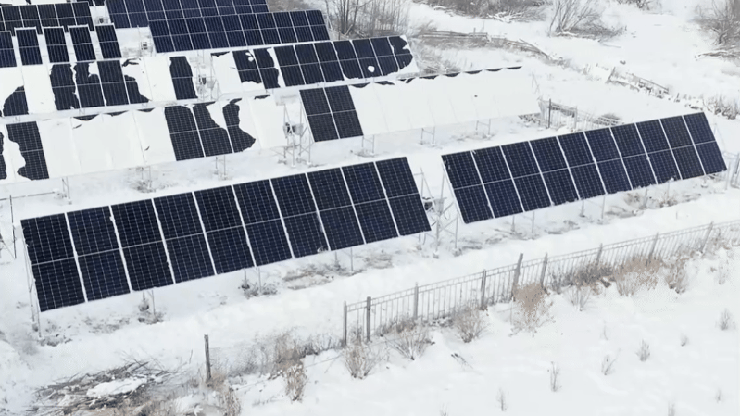 8908cfc995c3bd09f51c5bc7165e3445