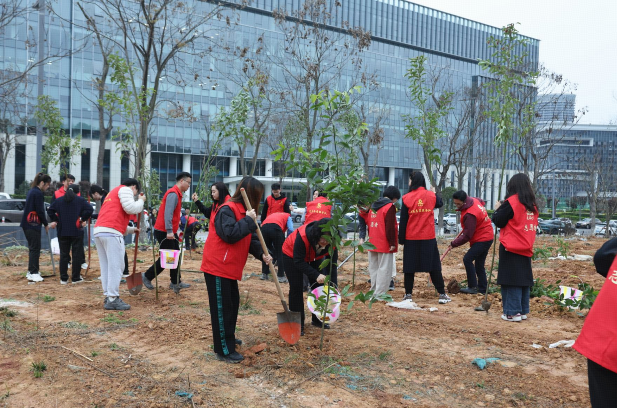 29723d7d9d1c6e803a222c01d9fb3541