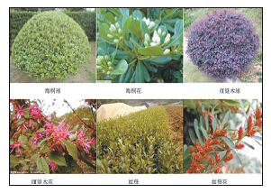 亚洲必赢国际·437ccm(中国区)官方网站