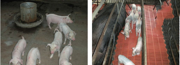 亚洲必赢国际·437ccm(中国区)官方网站