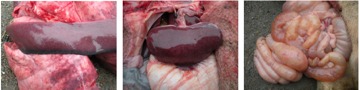 亚洲必赢国际·437ccm(中国区)官方网站