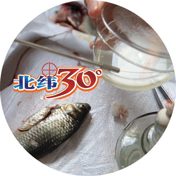 亚洲必赢国际·437ccm(中国区)官方网站