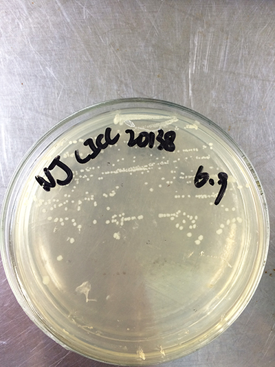 亚洲必赢国际·437ccm(中国区)官方网站