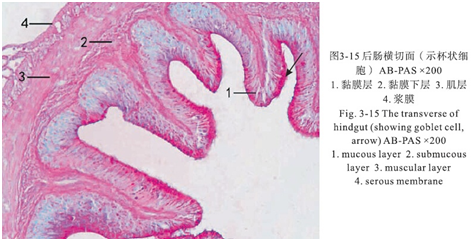 亚洲必赢国际·437ccm(中国区)官方网站