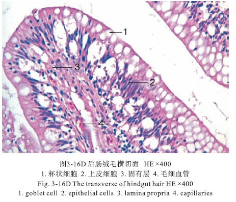 亚洲必赢国际·437ccm(中国区)官方网站